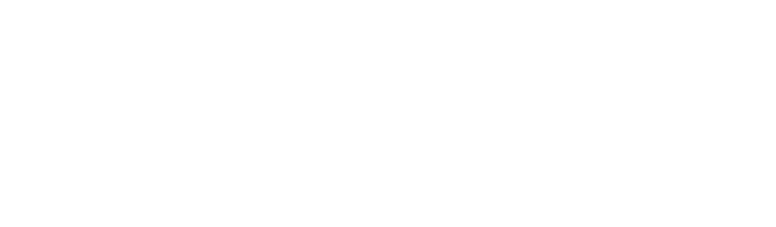 Vectum, Logística inteligente.